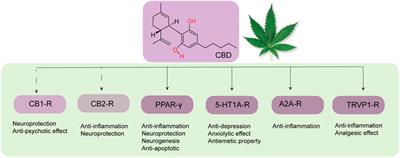 Cannabidiol for neurodegenerative disorders: A comprehensive review